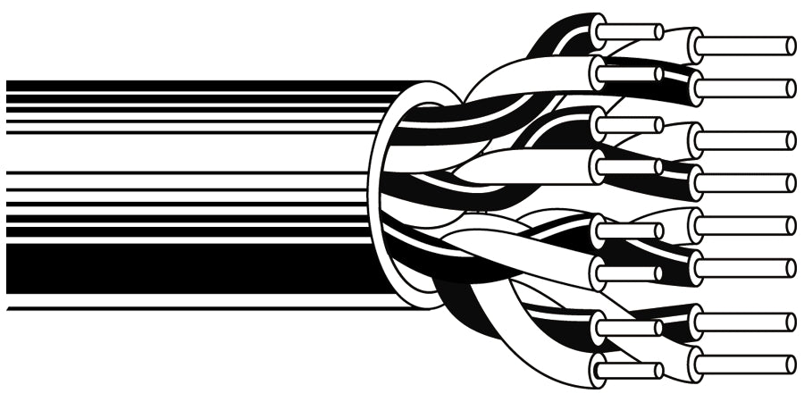 BELDEN # 8740 060U1000 - Multi-Pair Cable, 1 Pair, 22 AWG, Solid, Tinned Copper, Twisted Pair, PVC Insulation, PVC Jacket - Price Per 100 Feet - WAVE-AudioVideoElectric