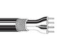 Belden 1804A J5C500 Multi-Conductor Cables 28AWG 4C SHIELD 500ft SPOOL BLACK - WAVE-AudioVideoElectric