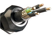 Belden HC2810 008U500 Multi-Conductor Cables 2 #22 PP FRPVC - WAVE-AudioVideoElectric